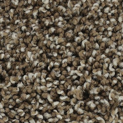 Karastan Smartstrand Bold Finish Georgian 63604-6860