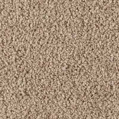 Karastan Smartstrand Silk Soft Extravagance Florence Stone 63574-6779