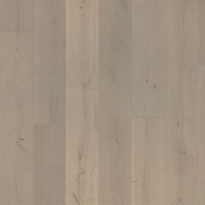 Karastan Belleluxe Waterproof Belhancourt Welsh Slate Oak KLW03-05