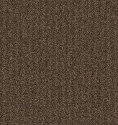 Aladdin Commercial Solid Ace 20 15ft Hickory NFC56-869