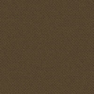 Aladdin Commercial Mezzanine 12×36 Tree Bark NFC92-862