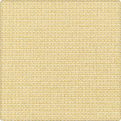 Karastan Gingham Stitch Butterfly 41212-29424