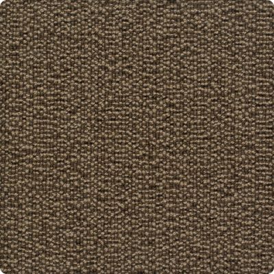 Karastan Shetland Tweed 41352-18547