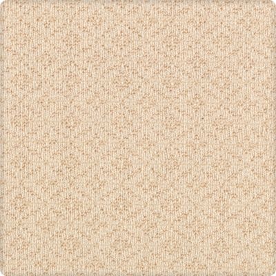 Karastan Weaver’s Point Limestone 41842-17846