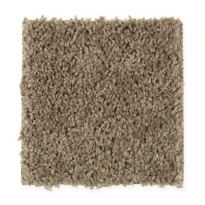 Shop Mohawk Splurge Winter Garden 1t29 866 Carpet Vic S Carpet