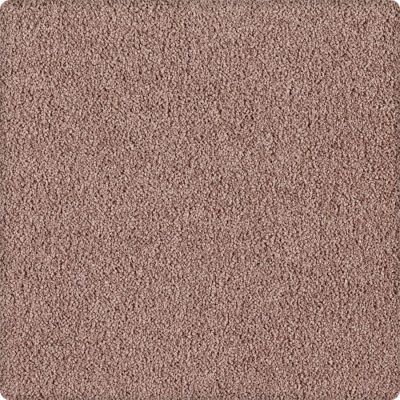 Karastan Indescribable Bitter Brown 43495-9844