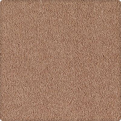 Karastan Indescribable Warm Neutral 43495-9847