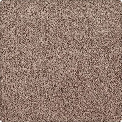 Karastan Indescribable Crisp Texture 43495-9868