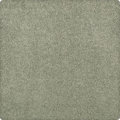 Karastan Elegantly Soft Deep Moss 43599-9646