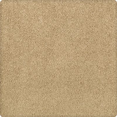 Karastan Elegantly Soft Flaxen 43599-9741