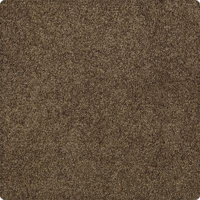 Karastan Elegantly Soft Due West Brown 43599-9879