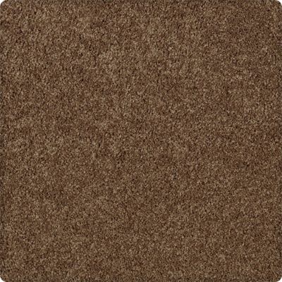 Karastan Enhanced Beauty Canvas Rust 43603-9898