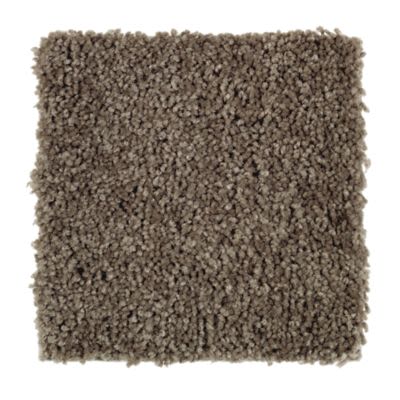 Shop Mohawk Stunning Appeal Porpoise 2l35 850 Carpet Leaf Floor Covering