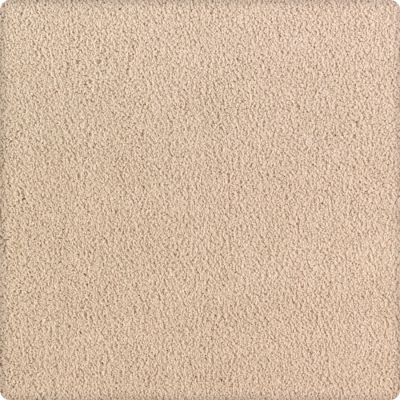 Karastan Luxurious Beauty Winter Oak 43629-9732