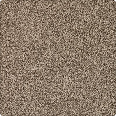 Karastan Brava Texture and Shag Brownstone 70926-3820