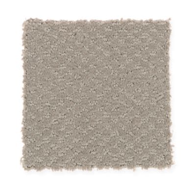 where to buy taupe haze