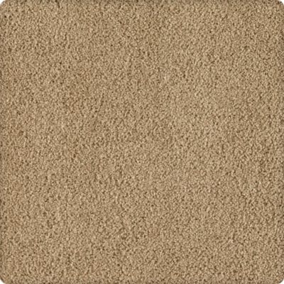 Karastan Soft Finesse Texture and Shag Drifting Sand 70932-3775