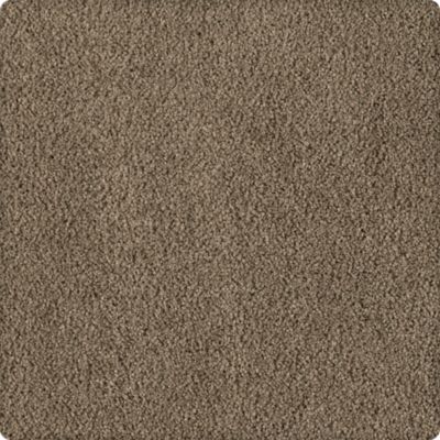 Karastan Soft Finesse Texture and Shag Teton Range 70932-3839