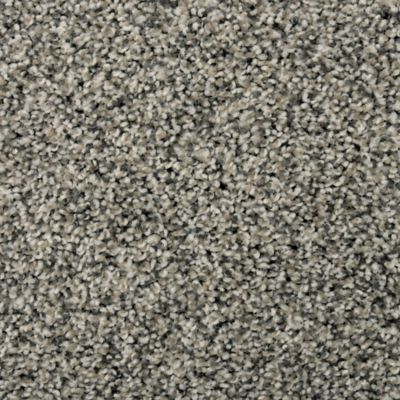 Karastan Magnetic Beauty Flannel W2WIS-43693-9948