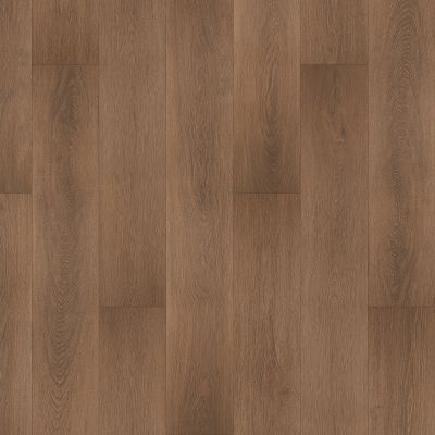 Portico Luxury Vinyl Plank Hartford Hall Danielle PB027-429