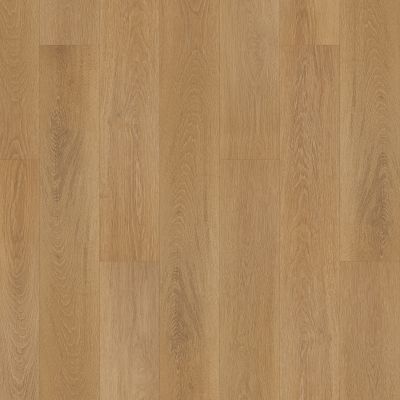 Portico Luxury Vinyl Plank Hartford Hall Clara PB027-437