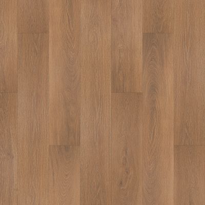 Portico Luxury Vinyl Plank Hartford Hall Avina PB027-458