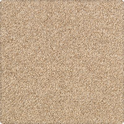 Portico Kashmere Serene Shades Heirloom PEC21-9757