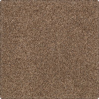 Portico Kashmere Serene Shades Sequoia PEC21-9875