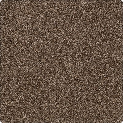Portico Kashmere Serene Shades Pinecone PEC21-9879