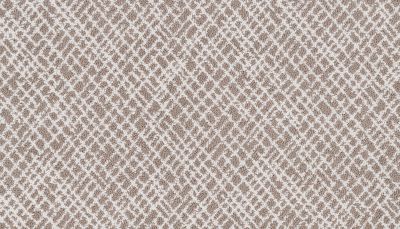 Portico Kashmere Xtra Freshly Polished Spiced Honey PEC28-9810