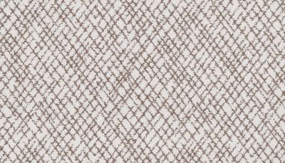 Portico Kashmere Xtra Freshly Polished Honeycomb PEC28-9813