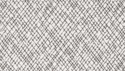 Portico Kashmere Xtra Freshly Polished Perfect Taupe PEC28-9941