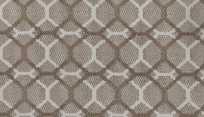 Portico Kashmere Xtra Lucky One Haven PEC39-9760