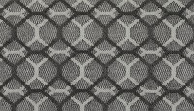 Portico Kashmere Xtra Lucky One Philosophical PEC39-9991