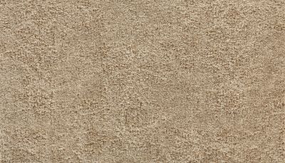 Portico Kashmere Evening Bliss Swiss Almond PEC43-9715