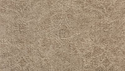 Portico Kashmere Evening Bliss Magnolia PEC43-9730