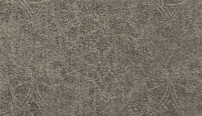 Portico Kashmere Evening Bliss Winter Dawn PEC43-9917