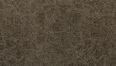 Portico Kashmere Evening Bliss Cathedral PEC43-9962