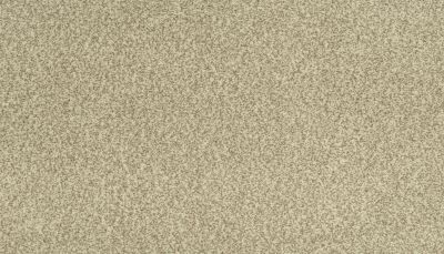 Portico Kashmere Present Time Bare Necessities PEC50-9748