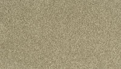 Portico Kashmere Present Time Mountain Ledge PEC50-9760