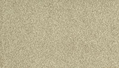 Portico Kashmere Present Time Sugar Dust PEC50-9765