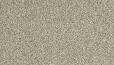 Portico Kashmere Present Time Silver Fox PEC50-9800