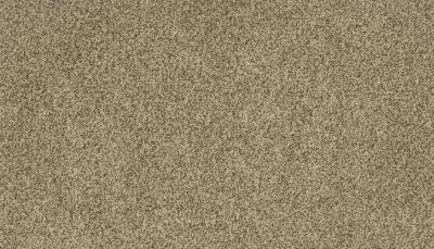 Portico Kashmere Present Time Bali PEC50-9834