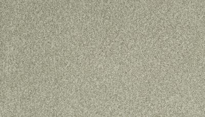 Portico Kashmere Present Time Winter Wonder PEC50-9906