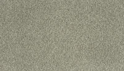 Portico Kashmere Present Time Raven PEC50-9944