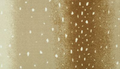 Portico Kashmere Punda Milia Golden Antelope PEC56-4747