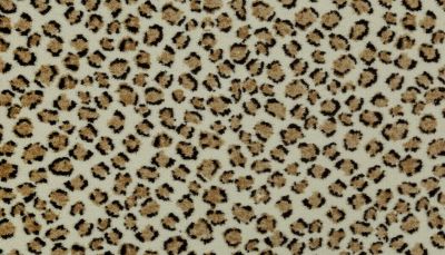 Portico Kashmere Punda Milia Cheetah PEC56-4787