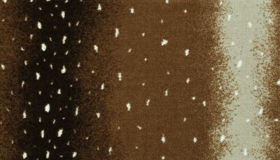 Portico Kashmere Punda Milia Antelope PEC56-4872