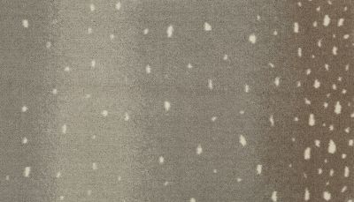 Portico Kashmere Punda Milia Frosted Antelope PEC56-4915