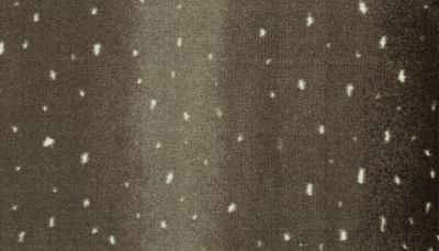 Portico Kashmere Punda Milia Taupe Antelope PEC56-4988